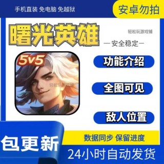 曙光【TK】辅助