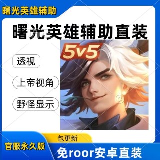 曙光【Dk】辅助